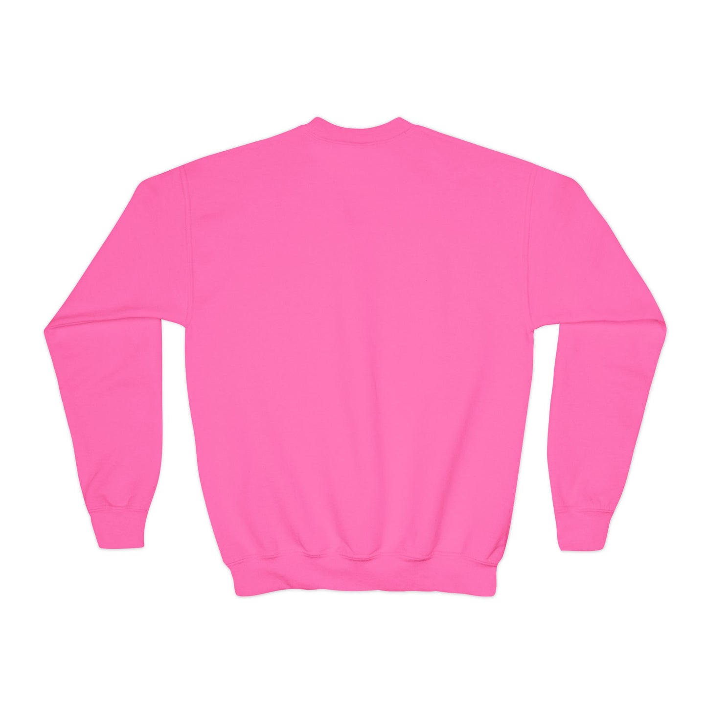 Pink Astronaut Youth Crewneck Sweatshirt