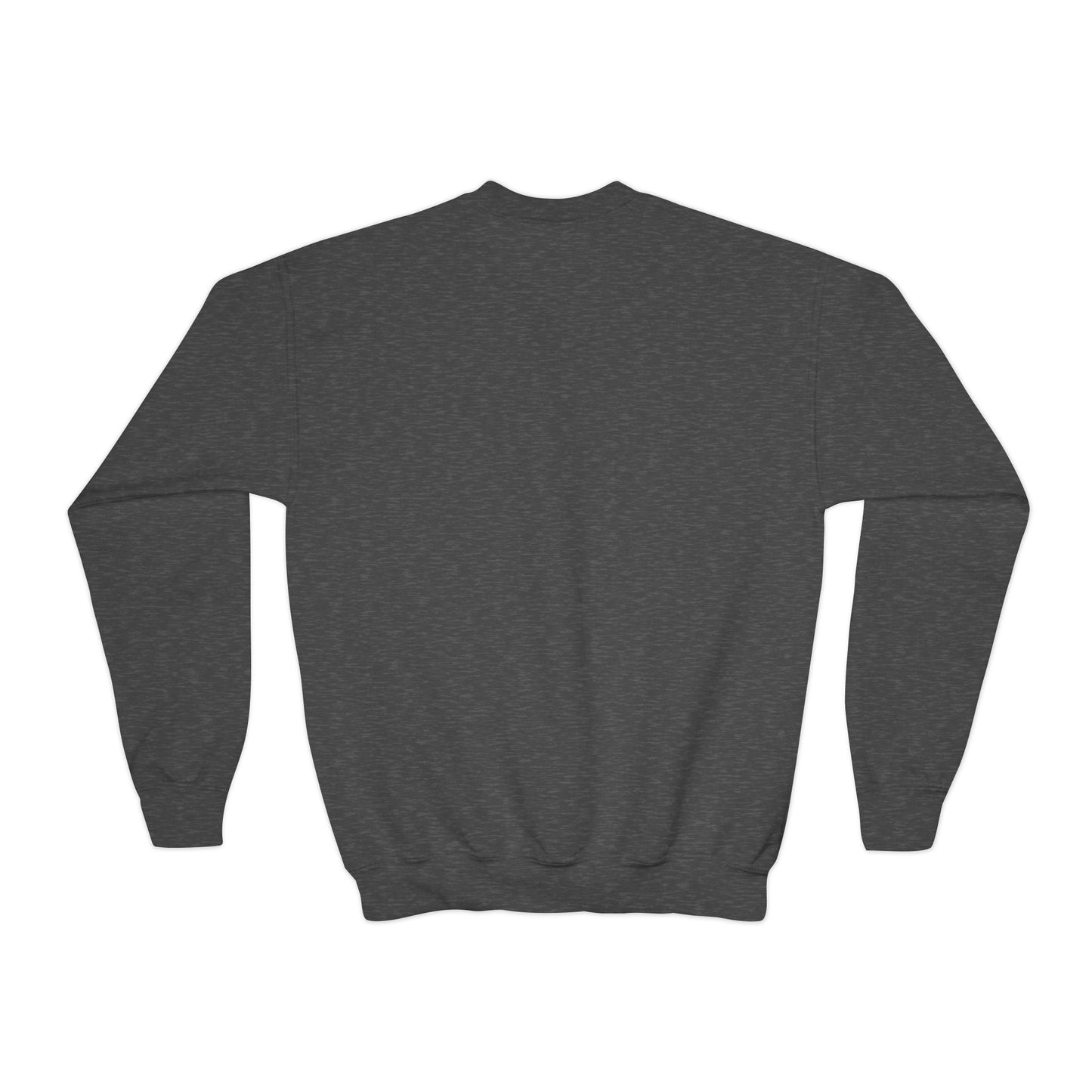 Pink Astronaut Youth Crewneck Sweatshirt
