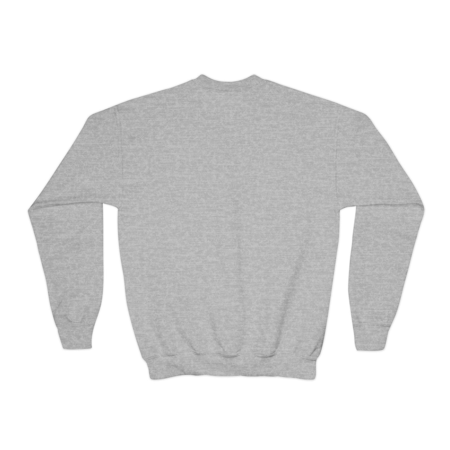 Pink Astronaut Youth Crewneck Sweatshirt